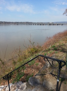 A view of the Susquehanna River in Harrisburg on Monday.  When I was a child and we'd cross the bridge in the distance, we'd look to see if any steps down to the river were showing.  